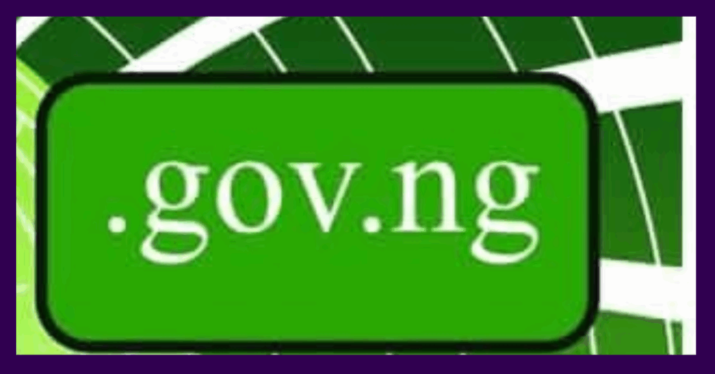 .gov.ng-tld-image