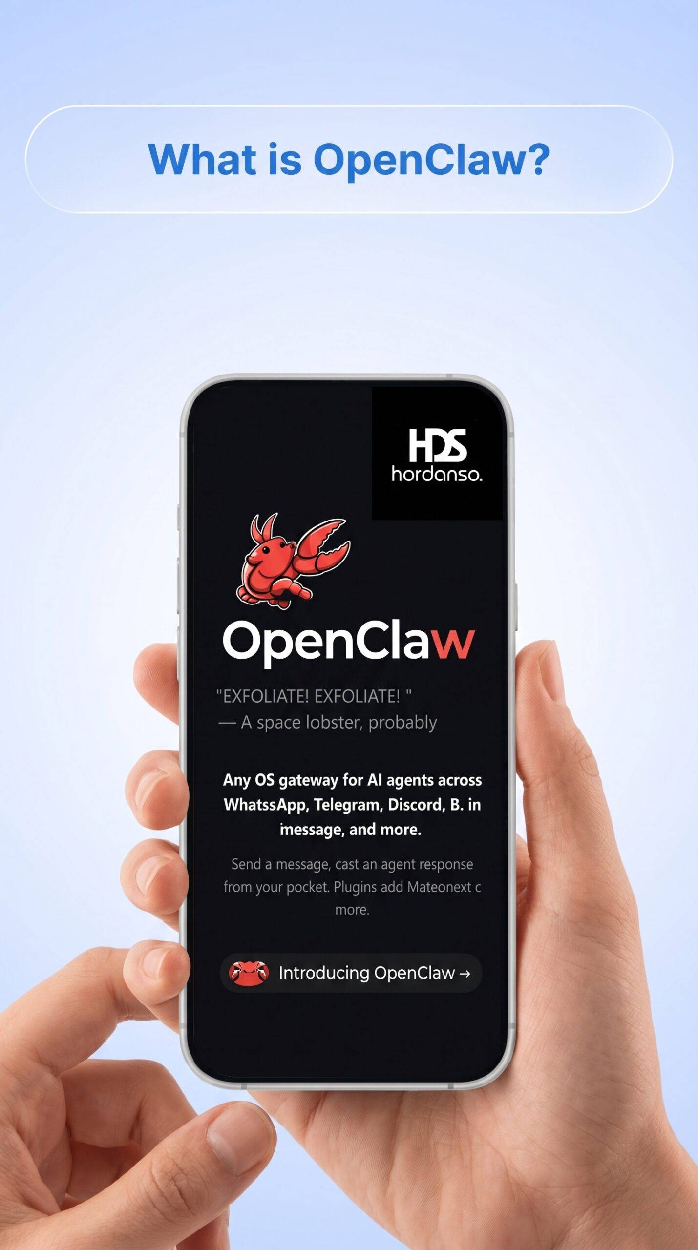 Open-claw